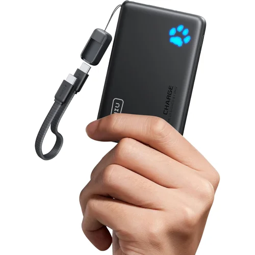 INIU Power Bank 10.000 mAh 45 W USB-C